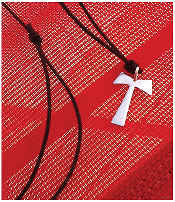 Vision 2016 Tomshack-Franciscans Contemplate the cross cross of Franciscan Friars of the Immaculate Conception Province