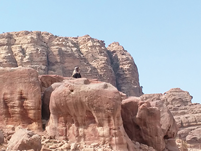 Vision 2017 Tomshack Petra 5 Desert Discernment Jordan is the literal wilderness referenced in the Bible