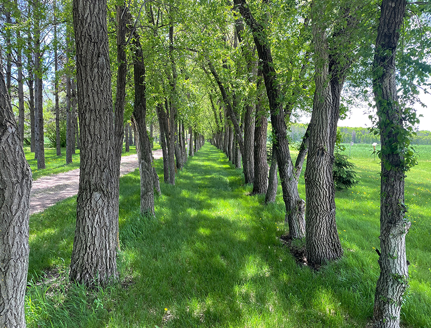 Spirituality Center Directed Retreat