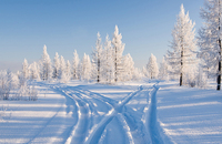 Snowy road through a forest
