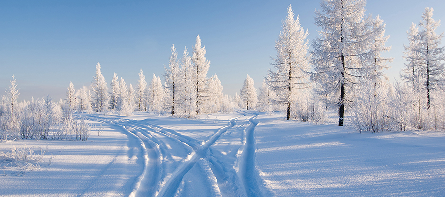 Snowy road through a forest