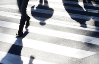 Shadows of people walking on a crosswalk on a busy city street