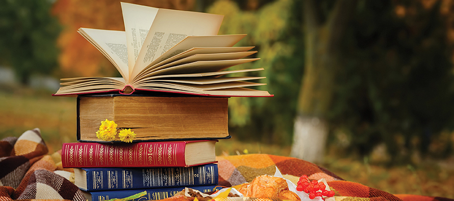 Stacks of books on a picnic blanket